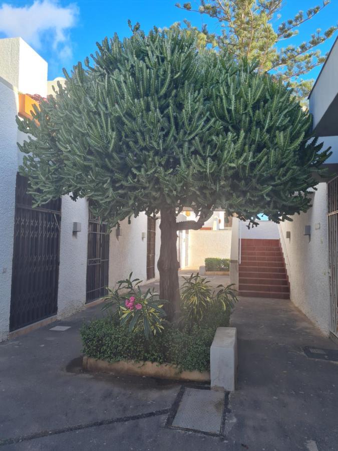 Primavera Apartment Olga With Free Wifi Arona  Exterior foto